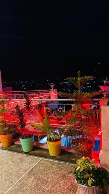 Hotel Solan Regency Exterior foto